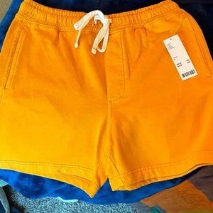 Urban Outfitters Lucien  5" Vintage Wash Short Small